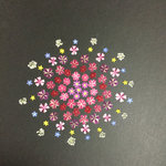 押し花  花便り NO.733