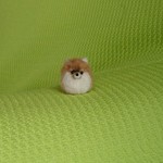 ちびちびポメラニアン オレンジ  羊毛フェルト