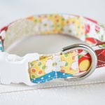 【sale】中型犬★小春日和★首輪①
