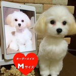 オーダーメイド羊毛フェルトワンちゃん［Mサイズ］送料無料