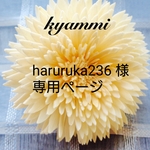haruruka様 専用ページ