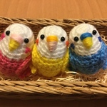 セキセイインコちゃん トリオセット