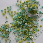 ドライフラワーかすみ草　メロンミント　５０輪
