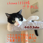 chama1030様ご予約品