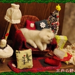 Silent night  * Holy night