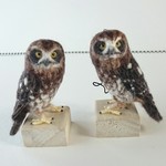 【jenne5さまご注文品】ニュージーランドアオバズクセット