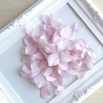 あじさい（モーヴ）　花びらパーツ　３５枚