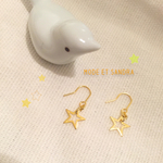 ☆プチスターピアス☆