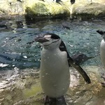 05shizuku05様オーダー品（５２cm）