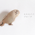 セキセイインコブローチ