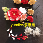 専用ページ