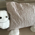 『Mさまオーダー』カメさんの大きなまくらカバー