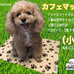 ぱっちん♪カフェマット（小）