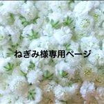 ねぎみ 様専用ページ☆