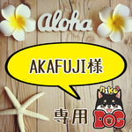 AKAFUJI様専用