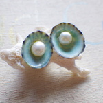 Turquoise Opihi ピアス