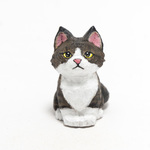コルクのメインクーン子猫・キジ白