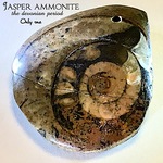 【珍品!!✧】ジャスパーアンモナイト【デボン紀・モロッコ産!!✧】【No.029】ペンダントトップ・縦約29mm【ホールあり✧】