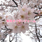 【zaki-8888様専用】