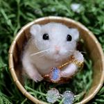 ❀リング売りのハムちゃん❀　カービングムーン８　クラウンリング❀