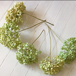 紫陽花枝付きドライフラワー