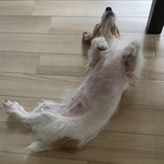 H様専用ページ