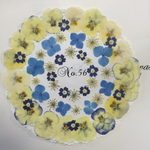 ♡sale♡¥900→¥750 送料無料 押し花セット