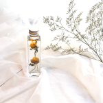 【9/10まで】*herbarium*シンプルインテリア[ヒメヒマワリ]