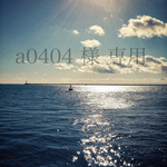 a0404 様 専用
