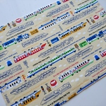 〈ﾗﾝﾁｮﾝﾏｯﾄ〉25×35 電車柄①    