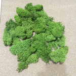 アイスランドモス SpringGreen30ｇ