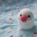 大福みたいな文鳥さん