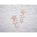 『流星』ドライフラワーのピアス/イヤリング 