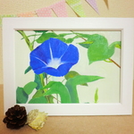 油絵原画『朝顔』　額縁付き