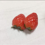 ジューシーいちごのイヤリング
