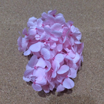 プリザーブドフラワー 紫陽花
