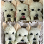 額縁犬３匹オーダー 羊毛フェルト