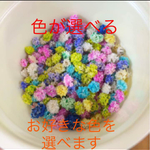 色が選べるドライフラワーかすみ草☆花粒