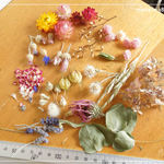 ドライフラワー 貝細工 ミニバラの花びら ユーカリ ラベンダー キャンドル レジン パネル 材料