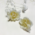 本物の薔薇のピアス アイボリー