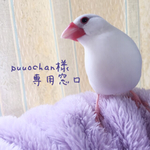 puuochan様専用窓口
