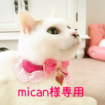 専用ページ
