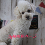 j0y様専用ページ