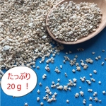 星の砂20ｇ！無漂白・そのままの色！大人気・大特価！沖縄県竹富町の天然星の砂・無漂白天然星砂