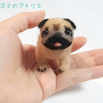 手のりパグさん