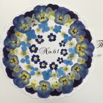 ♡sale♡¥1000→¥800 送料無料 押し花セット