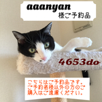 aaanyan様ご予約品