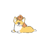 ＊keichan_carp様専用