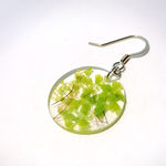 木漏れ日のピアス/イヤリング