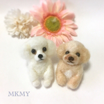 amiemon＊coyuli様専用ページ☆